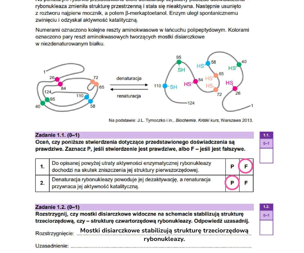 Matura biologia rozszerzona 2025 - wszystkie ODPOWIEDZI. Gotowe rozwiązania arkuszy CKE! [9.05.2025]