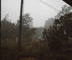  Z dnia na dzień coraz silniejsze wichury, a to dopiero początek. Pogoda szykuje niemiłe niespodzianki