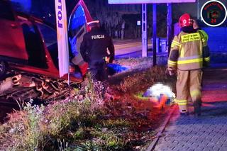 Wylądowali busem w rowie. Byli tak pijani, że nie mogli wyjść o własnych siłach