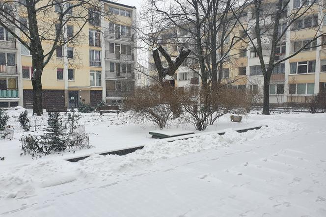 Zima w Warszawie. Zasypane chodniki, ulice, place [GALERIA]