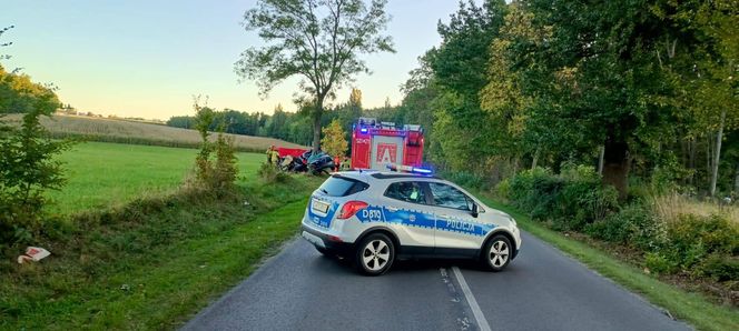 BMW owinęło się wokół drzewa w woj. lubelskim. 23-latek zginął na miejscu