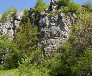 Najlepsze miejsce na majówkowy wypoczynek blisko Krakowa. Widoki zachwycają 