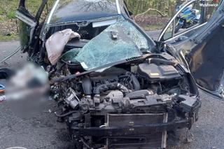 Śmiertelny wypadek w Mysłowicach. Nie żyje 29-latka, 5-latek w szpitalu. Kierowca trafił do aresztu