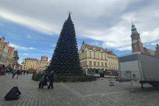 Choinka za milion złotych stanęła we Wrocławiu. Tak wygląda luksusowe drzewko 