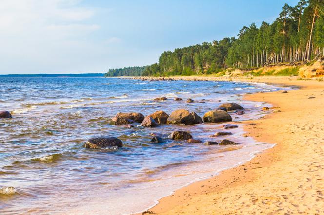 Wczasy odchudzające nad morzem