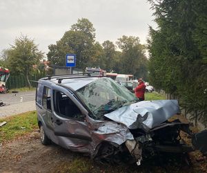 Zderzenie autobusu miejskiego z osobówką w Wilkowicach koło Leszna