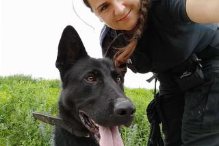 Małopolska policja pokazała piękniejszą twarz. Zainteresowanie pań służbą jest coraz większe