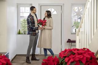 Gwiazda betlejemska jako prezent