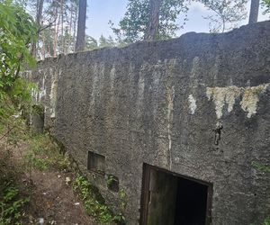 Odwiedziłam jeden z piękniejszych powiatów na Mazurach. To prawdziwy „szlak bunkrowy”