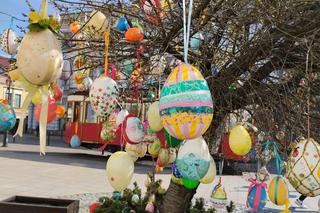 W Tarnowie pojawiło się tysiące kolorowych jajek. Pisankowy Desant przed Wielkanocą