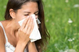 Alergia nie odpuści. Sprawdź, co pyli we wrześniu