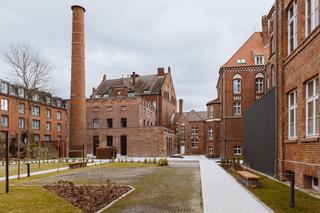 Zabytki ocalone przez Grupę Arche