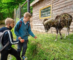 JuraPark w Bałtowie ma już 20 lat!