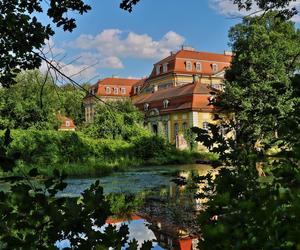 Dolnośląski zamek na wyspie wystawiony na sprzedaż. 10 milionów i pałac w Radomierzycach jest twój 