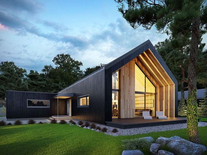 Domy z antresolą. 10 interesujących projektów otwartych na dach 