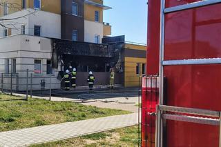 Pożar mieszkania w Gostyninie! Większemu nieszczęściu zapobiegli strażacy! [ZDJĘCIA]
