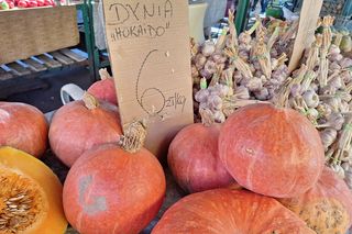Ceny dyni na targu w Rzeszowie 