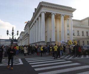 Wielki protest przez ratuszem. Wolontariusze walczą o życie kotów