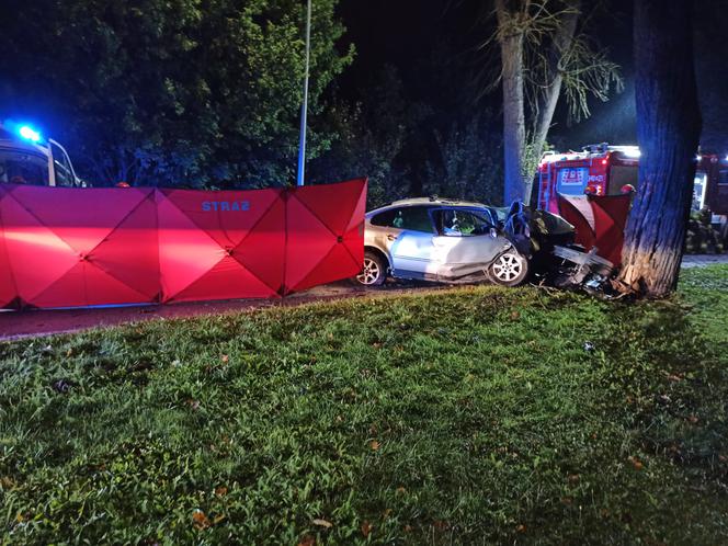 Śmiertelny wypadek na ul. Łęczyckiej w Elblągu. Auto roztrzaskało się na drzewie. Kierowca nie żyje [FOTO]