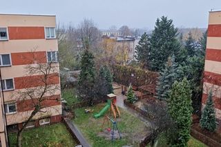 Pierwsze opady śniegu w listopadzie 2024 roku w Toruniu