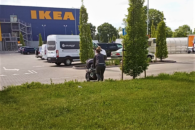 Do sklepu przez trawnik i po pasach prosto... w skarpę! "Wyboista" droga do sklepu IKEA w Szczecinie