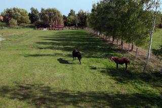 Katarzyna Dowbor- wyremontują jej ranczo