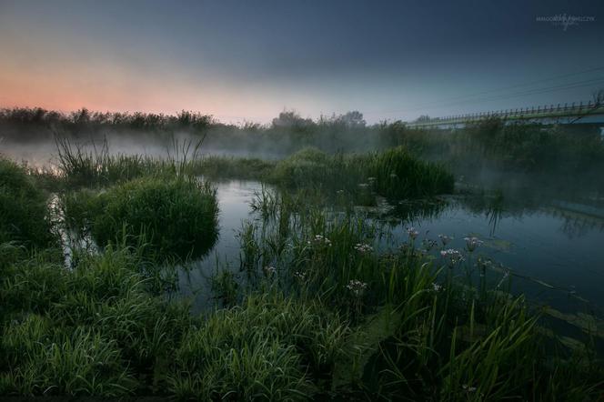 Narew w obiektywie Małgorzaty Pawelczyk. Magia! [ZDJĘCIE DNIA]