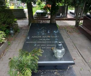 Aleja Zasłużonych Doły