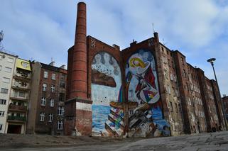 Wrocławskie murale podbijają Instagram! Zobaczcie najciekawsze zdjęcia [GALERIA]