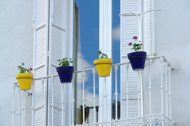 balkony w kwiatach