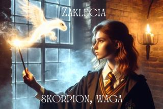 Harry Potter. Jakiej dziedziny magii byłbyś mistrzem, według Twojego znaku zodiaku? 