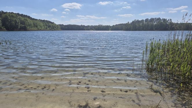 To jezioro w Olsztynie ma niezwykle czystą wodę. Jest kilka dzikich plaż, które świecą pustkami