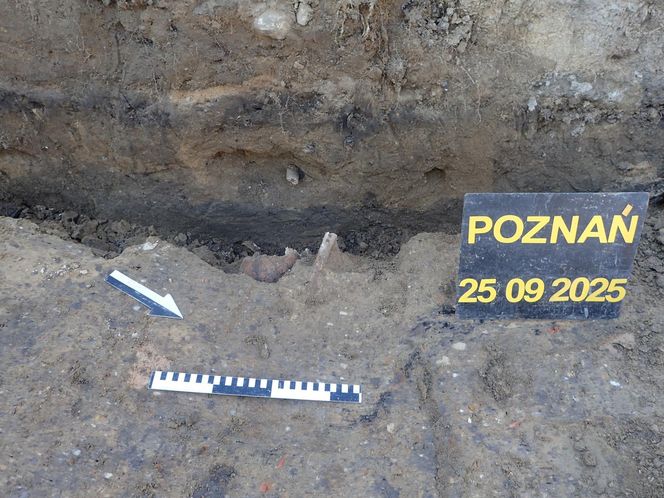 Ludzkie szczątki przy wydziale UAM