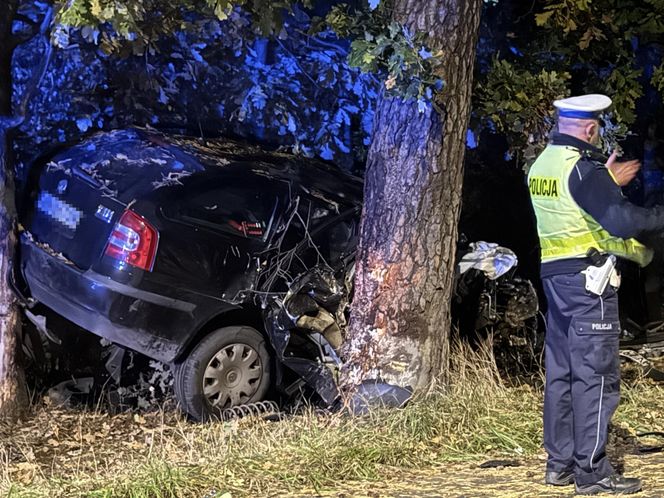 Dwa samochody rozbite, jeden uderzył w drzewo. Wielu rannych w tym 4 osoby nieletnie