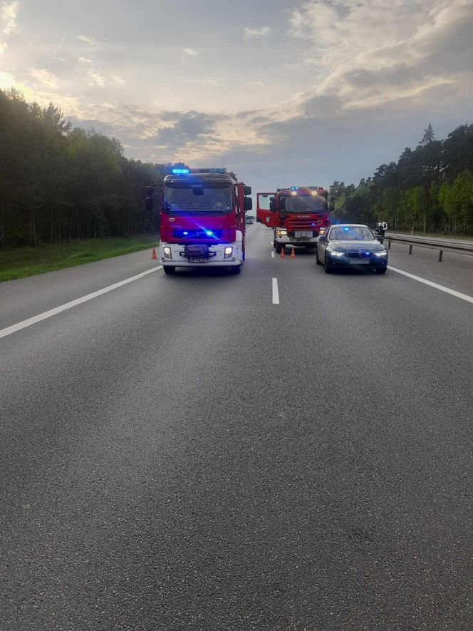 Autobus spłonął na A4. Dantejskie sceny na Opolszczyźnie