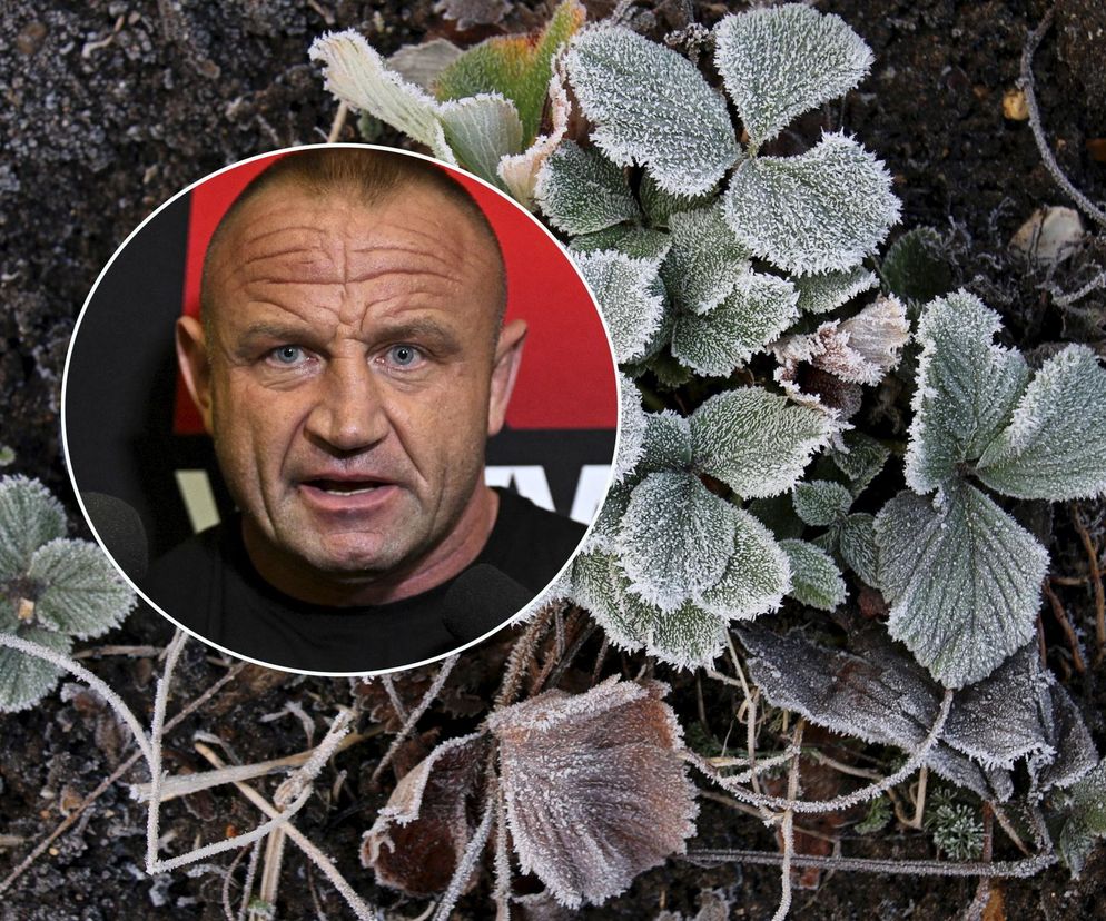 Mariusz Pudzianowski