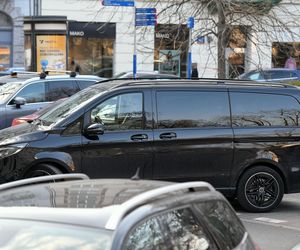 Ibisz powiększa rodzinę