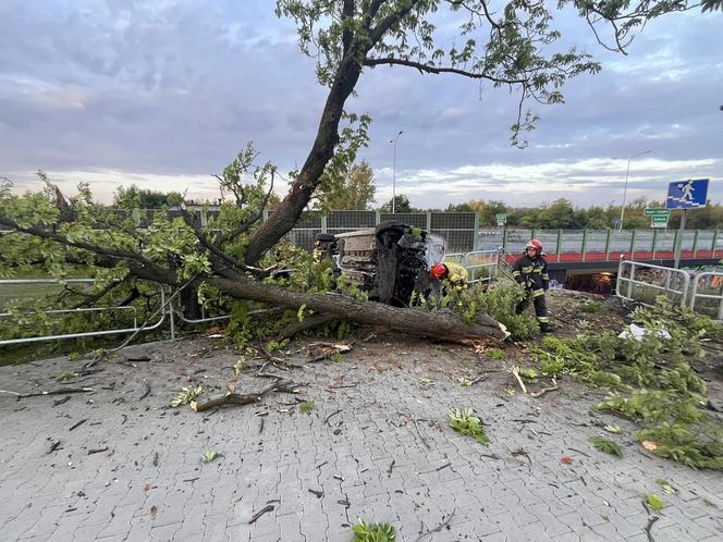 Wypadek na DTŚ. Samochód dostawczy wypadł z drogi. Jedna osoba poszkodowana