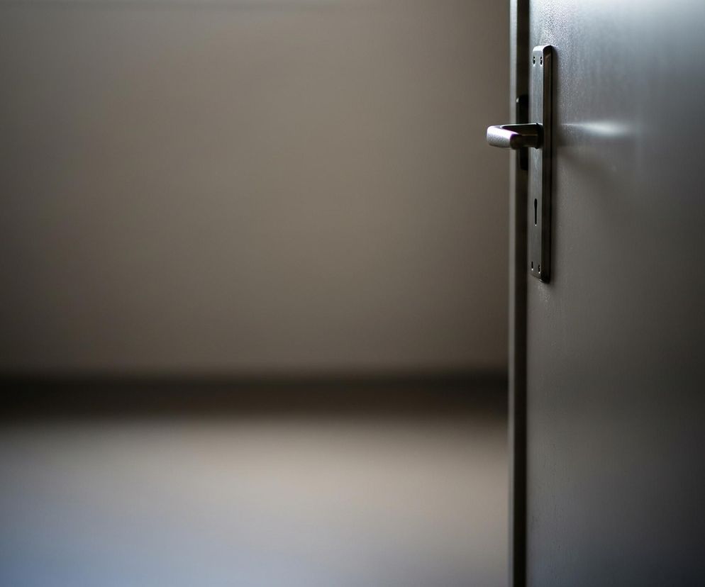 Otwarta, szarawe drzwi z ciemnym, metalowym uchwytem i tabliczką zamkową znajdują się po prawej stronie kadru, zwrócone profilem. Lewa strona obrazu to rozmazane, jasnoszare wnętrze pomieszczenia z widocznym cieniem w tle i na podłodze, co sugeruje źródło światła z lewej strony. Całość jest utrzymana w stonowanych, ciemnych odcieniach szarości i beżu.