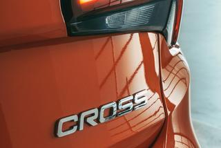 (2021) Fiat Tipo Cross