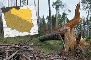 Potężny wiatr w Bydgoszczy i regionie! IMGW wydaje żółty alert pogodowy i ostrzega mieszkańców [5.01.2023]