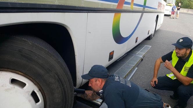 W jakim stanie są autobusy wożące dzieci do szkół? Skrupulatnie sprawdza to właśnie Inspekcja Transportu Drogowego