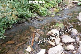 Zanieczyszczenie ujęcia wody pitnej w gmienie Niedźwiedź, w powiecie limanowskim