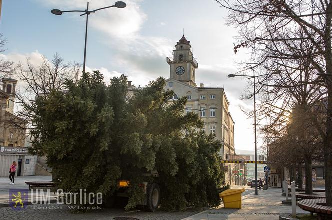 Gorlice: Na rynku już stoi choinka. Jest piękna. MUSISZ ją zobaczyć