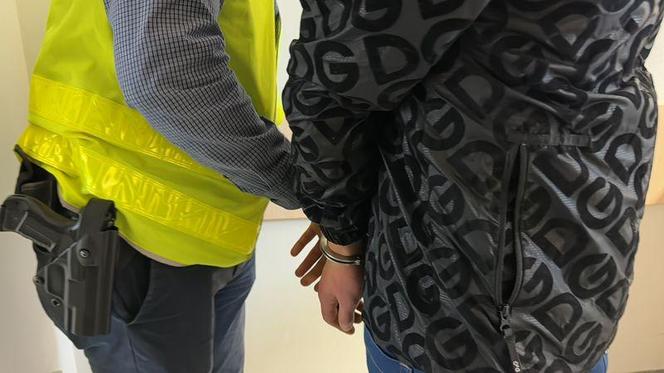 Zabił kota ze szczególnym okrucieństwem. 23-latek zatrzymany przez policję z Wejherowa