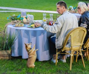 Finał 7. edycji Sanatorium miłości