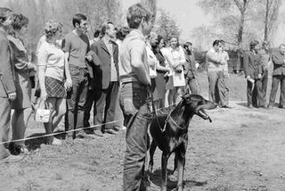 Wystawa psów na stadionie w Łodzi w maju 1972 roku