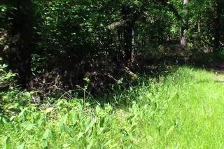 Zapadnie doły i Dąb Maciek w gminie Brody