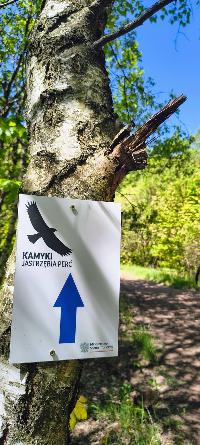Kamyki