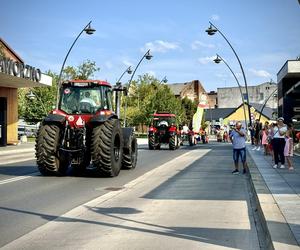 Dożynki miejskie w Jaworznie